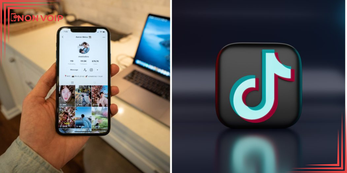 The Creator Fund (TikTok Creator Fund)