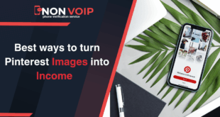 Turn Pinterest Images into Income: 5 Smart Ways for Earning from Pinterest