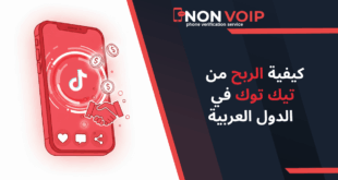 كيفية الربح من تيك توك في الدول العربية