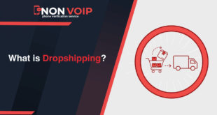 What is Dropshipping and how to Earn From it?