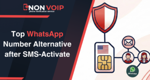 The Truth About HeroSMS and SMS-Activate: Is it a Rebrand?