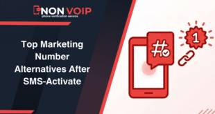 Top Marketing Number Alternatives After SMS-Activate