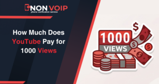 How Much Does YouTube Pay for 1000 Views? US Account Setup