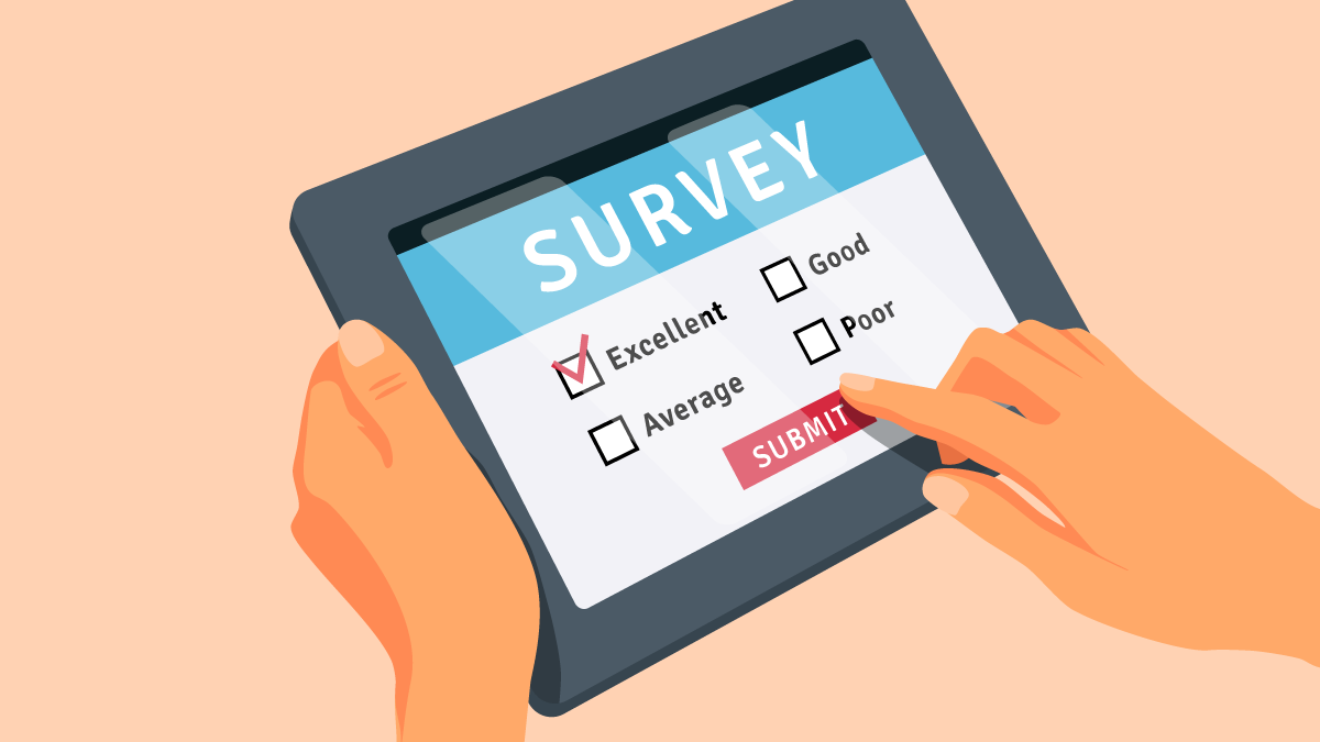 What are Survey Websites?