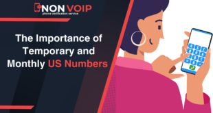 The Importance of Temporary and Monthly US Numbers and How to Profit from Them