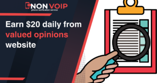 Earn $20 Daily from Valued Opinions Website