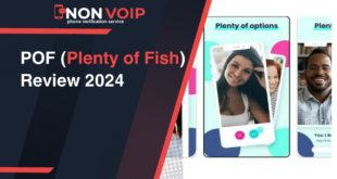 POF (Plenty of Fish) Review 2024