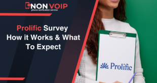 Prolific Survey How it Works & What To Expect