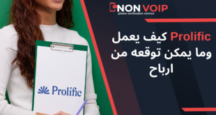 Prolific كيف يعمل وما يمكن توقعه من ارباح