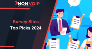 Best Survey Sites of 2024: Earn Rewards with Paid Surveys